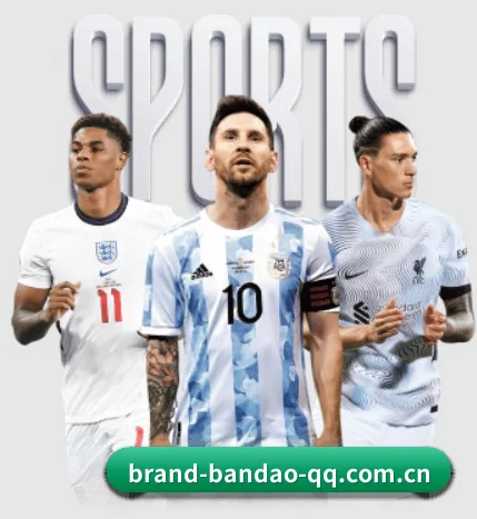 半岛体育 APP - bandao
